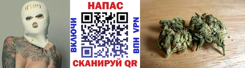 МЕФ Сергач