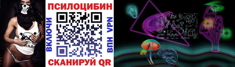 Псилоцибиновые грибы Psilocybine cubensis  Сергач 